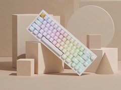 Lemokey P2 HE trådlöst tangentbord för gaming i vitt med genomskinliga tangentknappar. (Bildkälla: Lemokey)