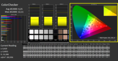 CalMan ColorChecker kalibrerad