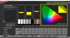 CalMAN ColorChecker (profil: P3 Photography, målfärgrymd: P3)