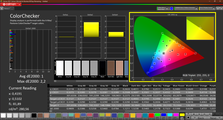 CalMAN: ColorChecker (kalibrerad)