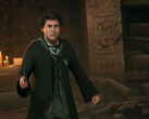Fans fruktar att deras karaktär i Hogwarts Legacy 2 kan överskuggas av Harry Potter.