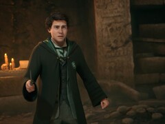 Fans fruktar att deras karaktär i Hogwarts Legacy 2 kan överskuggas av Harry Potter.