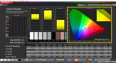 CalMAN ColorChecker (profil: DisplayP3, målfärgrymd: P3)