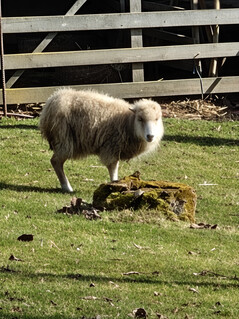 Huvudkamera (20x zoom)