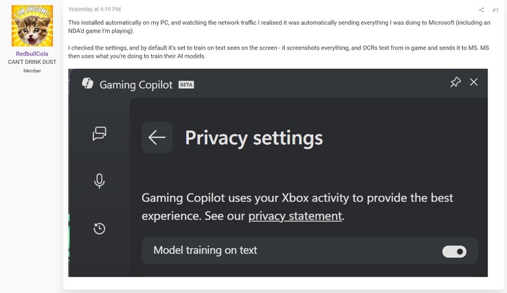 Gaming Copilot oroar sig för integriteten (Bildkälla: skärmdump, RedbullCola@ResetEra forum)