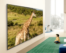 En reklambild för LG QNED84B TV.