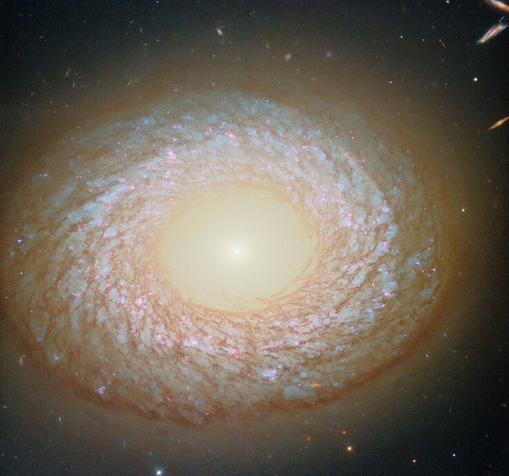 En bild av NGC 2775 som fångats av Hubble (Bildkälla: ESA/Hubble, NASA, F. Belfiore, J. Lee och PHANGS-HST Team)