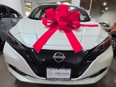 Nissan Leaf. Kvinna rasistiskt misshandlad begåvad EV så att hon aldrig byter olja igen (Bildkälla: Makayla Starks)