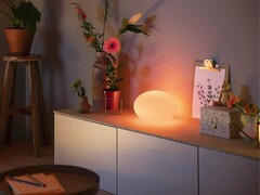 Philips Hue Flourish bordslampa