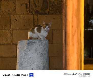 Vivo X300 Pro 200 mm med telekonverter.