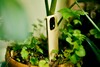 Realme 16 Pro Plus i recension