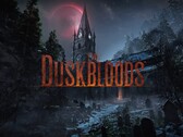 Banner för nätverkstestet av The Duskbloods Switch 2 visas