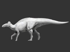 Edmontosaurus annectens är den första kända dinosaurien som hade hovliknande fötter (Bildkälla: Science.org)