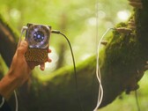 Pocket Scion skapar musik baserad på växternas elektriska aktivitet. (Bildkälla: Instruō)