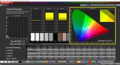 CalMAN ColorChecker (DCI-P3 målfärgrymd)