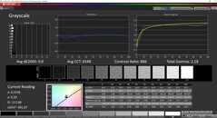 CalMan ColorChecker - Gråskalor - Kalibrerad