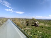 OnePlus 13 - 0,5x zoom (ultravidvinkel)