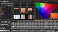 CalMAN: ColorChecker (kalibrerad)