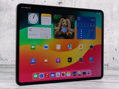 Den nya iPad Pro-modellen kommer att vara lättare att använda i porträttläge (på bilden: 13-tums iPad Pro med en Apple M4; bildkälla: Notebookcheck)