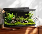 Dangbei Smart Fish Tank 2S Ultra kommer att lanseras i Kina den 26 april 2026.