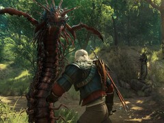 Bild från spelet The Witcher 3: Wild Hunt - Blood and Wine. (Bildkälla: Steam)