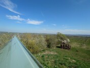 Sony Xperia 1 VI - 0,5x zoom (ultravidvinkel)