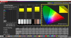 CalMAN ColorChecker (profil: Native, målfärgrymd: P3)