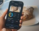 Zepp-appens matloggfunktion har kommit till Europa. (Bildkälla: Amazfit)