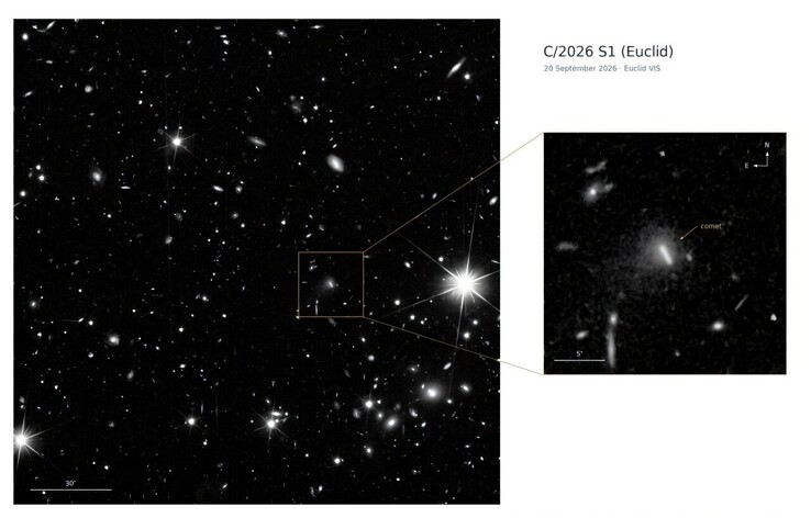 En bild tagen av Euclid som visar kometen C/2026 S1 (Euclid).