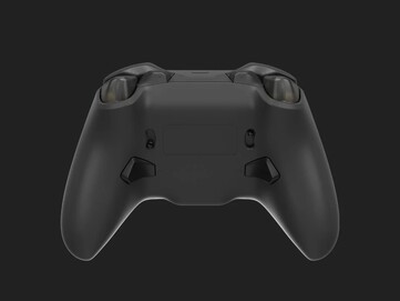 Baksidan visar bakre paddlar