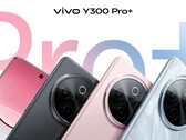 "Y300 Pro+". (Bildkälla: Sandwich Sister via Weibo)