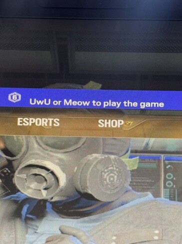 Hackare som skriver anpassade meddelanden i Rainbow Six Siege. (Bildkälla: Pirat_Nation)