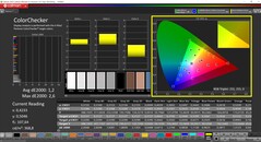 CalMAN ColorChecker (profil: sRGB, målfärgrymd: sRGB)