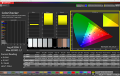 CalMAN ColorChecker