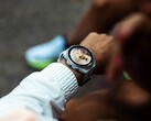 Garmin Connect IQ Store fördröjer för närvarande appuppdateringar med flera dagar.