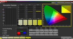 CalMan ColorChecker - Mättnad - Kalibrerad