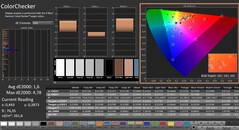 CalMAN: ColorChecker (kalibrerad)