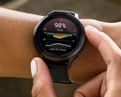 En ny betauppdatering har kommit för Garmins Venu 4 smartklocka (bilden). (Bildkälla: Garmin)