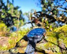 Test: Samsung Galaxy Watch Ultra2