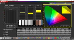 CalMAN ColorChecker (målfärgrymd P3)