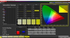 CalMan ColorChecker - Mättnad