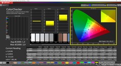CalMAN ColorChecker (profil: sRGB, målfärgrymd: sRGB)