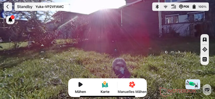 Livevideo i Mammotion-appen