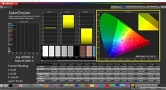 CalMAN ColorChecker (Profil: Native, Målfärgrymd: P3)