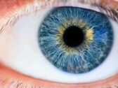 Med hjälp av M-cone-stimulering med laserljus har forskare lyckats göra den tidigare okända färgen "Olo" synlig. (Bildkälla: Pexels/ Michael Morse)