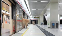 En katt stiger av tåget (Bildkälla: Xing&#039;s World via YouTube; skärmdump)