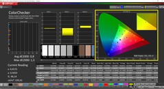 CalMAN ColorChecker kalibrerad