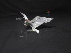 En bild av RoboFalcon2.0 (Bildkälla: forskare; redigerad)