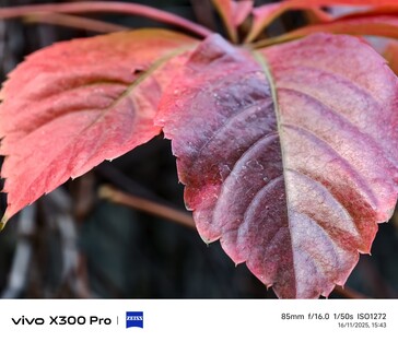 Vivo X300 Pro: Foto prov