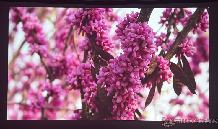 Bildkvalitet Nebula P1 i ett mörkt rum (Bildkälla: Pexels)